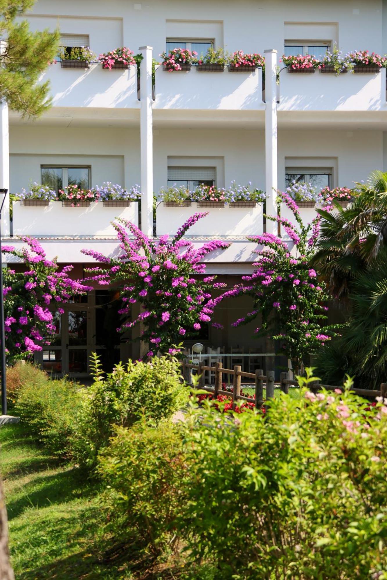 Il Tridente Hotel 비비오네 외부 사진